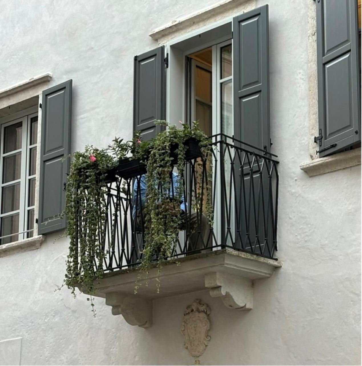 Palazzo Riccamboni Apartment Riva del Garda